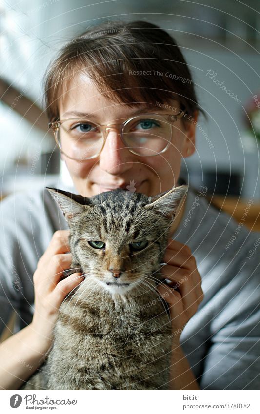 Junge Frau, mit Brille, krault ihre Tigerkatze. Tigerfellmuster Katze Tier Haustier Fell Hauskatze Blick braun Tierliebe Kater Blick nach vorn schauen gucken