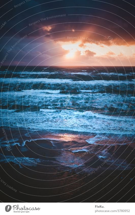 Nordsee Brandung im Abendlicht Umwelt Natur Landschaft Urelemente Wasser Sonnenuntergang Küste Strand Meer wild blau Außenaufnahme Reflexion & Spiegelung Gischt