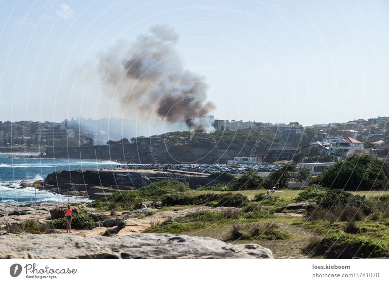 Buschfeuer mit Rauch im Dunningham-Reservat an der Küste, Sydney, Australien Feuer Badestrand Dunningham-Reserve Flammen Gordons Bucht dunkel Desaster schwarz