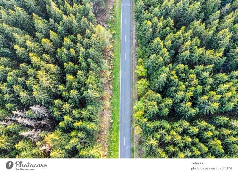 eine Waldstraße von oben Straße von oben forst von oben Transport Landstraße PKW Lastwagen Autos Weg shadown Sonne Sonnenwald Natur Nadelwald Bäume Baum Sommer