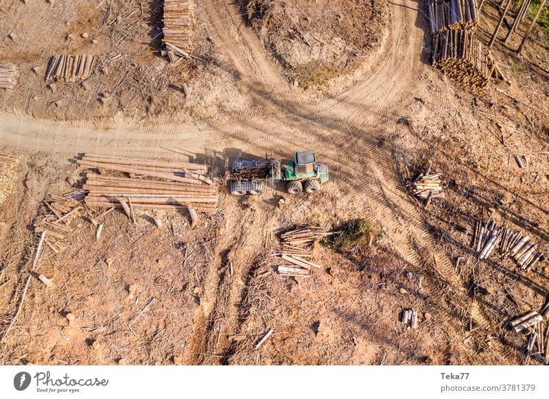 eine moderne Forstmaschine in einem gefällten Wald von oben Förster Erntemaschine Bäume Natur Forstindustrien Baum fällen Bäume fällen im Wald Forstwirtschaft