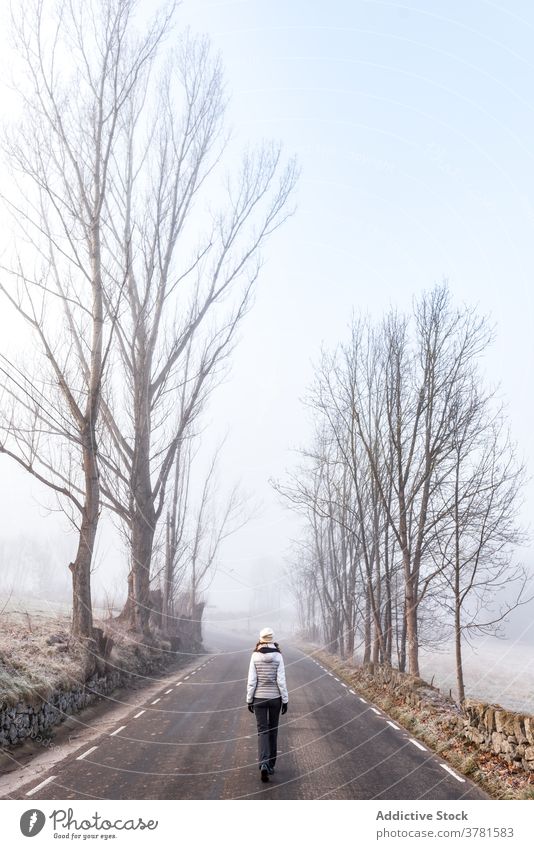 Unerkennbare Frau zu Fuß auf nebliger Straße auf dem Lande Nebel Gasse Wald Landschaft kalt allein trist Weg Wanderung Natur Spaziergang Herbst Winter Saison