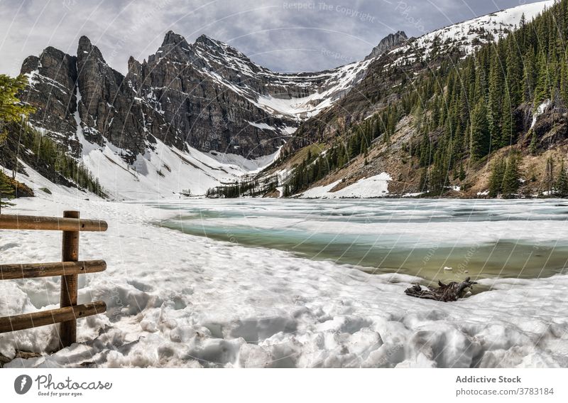 Frost See und verschneite felsige Berge Berge u. Gebirge Felsen Schnee Wald Landschaft Natur rau wild majestätisch kalt malerisch Kanada Banff National Park