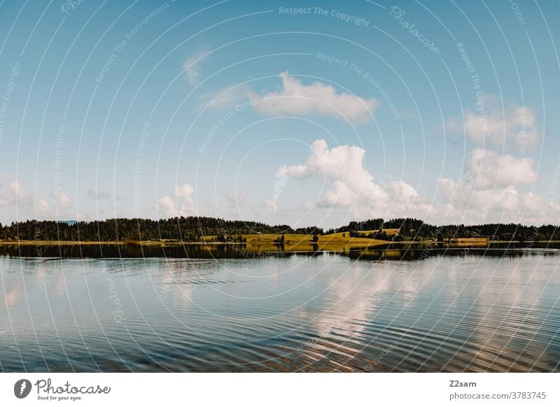 See in den Alpen alpen see spiegelung bergsee allgäu bayern Reflektion natur landschaft ausbilck blau wasser leben gewässer ruhig horizont himmel wolken sommer