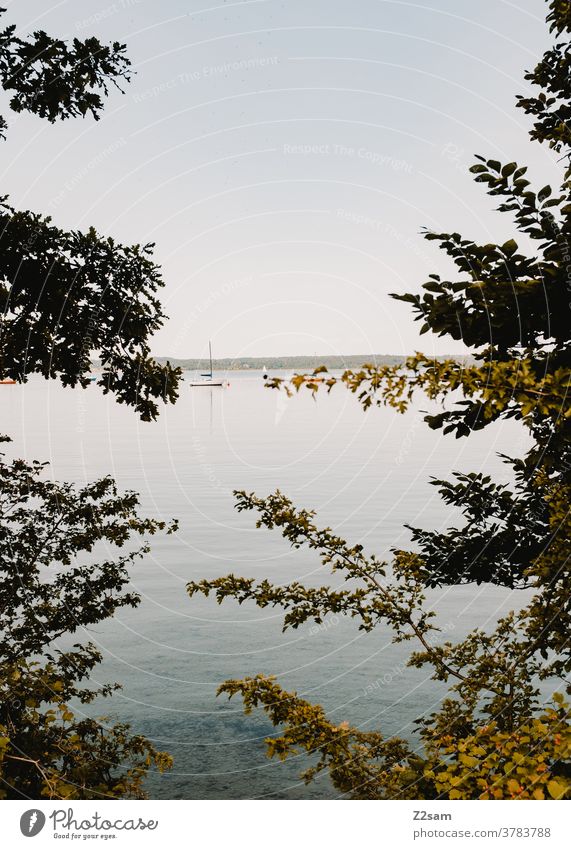 Starnberger See wassersport see spiegelung Reflexion & Spiegelung bewegung erholung ruhe entspannung baden wolken blau bayern urlaub ferien reise Außenaufnahme