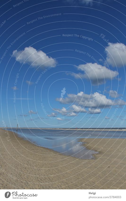 Spätsommer am Meer - einsamer Strand auf der Nordseeinsel mit  Wasser, blauem Himmel und Wölkchen Insel Wangerooge Sand Priel Sandbank Spiegelung Reflexion