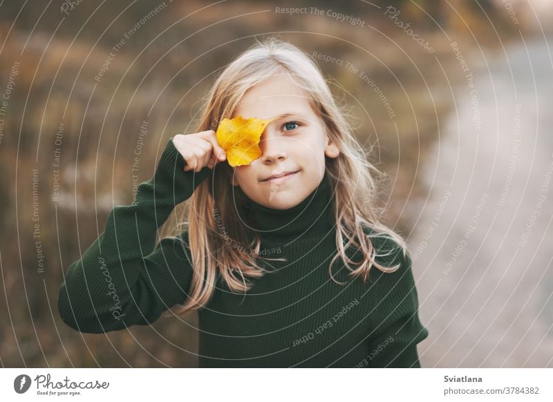 Porträt eines schönen Teenagermädchens mit blonden Haaren und blauen Augen mit einem Lächeln im Gesicht und einem herbstlich gelben Blatt im Park. Herbst Glück