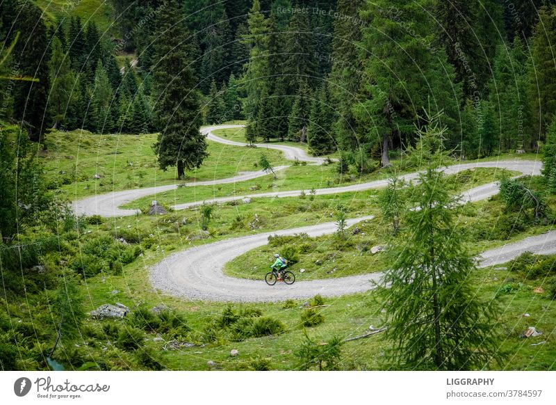 Downhill, auch Bergabfahrt. Ab nun gings bergab. mountain bike Himmel Farbfoto Fahrradfahren Außenaufnahme Freizeit & Hobby Straße Sport Fitness Menschenleer