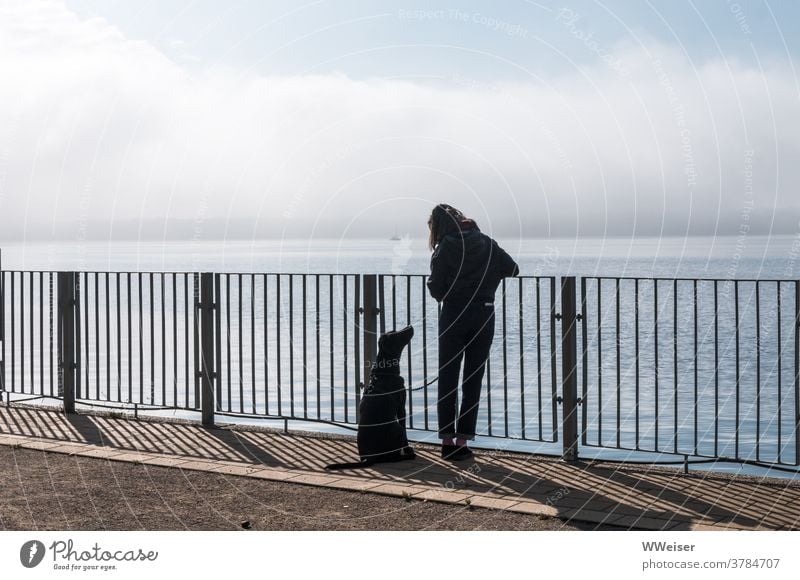 Zu zweit am See mit dem besten Freund des Menschen Hund Mädchen Frau Blickkontakt Schatten Wasser Ufer Geländer Zaun Horizont Gewässer Aussicht Himmel Morgen