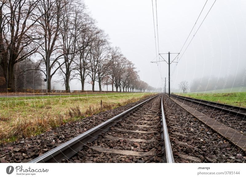 Schienen in Herbstlandschaft Schienenverkehr Mobilität Fluchtpunkt Baumreihe Linien Nebel Zukunft Ziel Wege & Pfade Verkehr Landschaft Verkehrswege