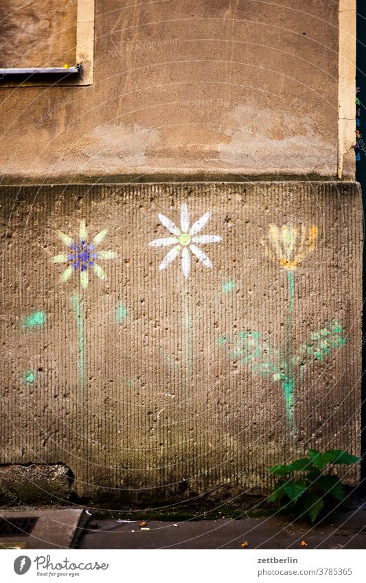 Altbaufassade mit aufgemalten Blumen altbau außen brandmauer fenster haus himmel himmelblau hinterhaus hinterhof innenhof innenstadt mehrfamilienhaus