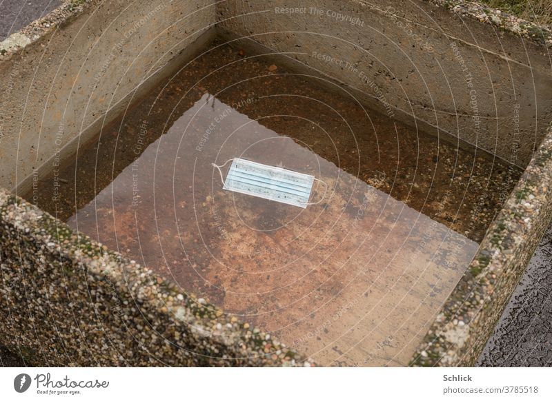 Coronakrise Mundschutz schwimmt in großem Blumenkübel, der teilweise mit Regenwasser gefüllt ist coronakrise Müll weggeworfen schwimmen Wasser quadratisch