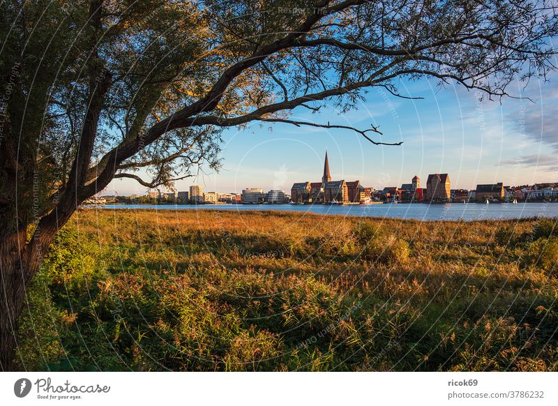 Blick über die Warnow auf die Hansestadt Rostock Fluss Stadthafen Mecklenburg-Vorpommern Schilf Baum Tourismus Architektur Häuser Gebäude Wahrzeichen Kirche