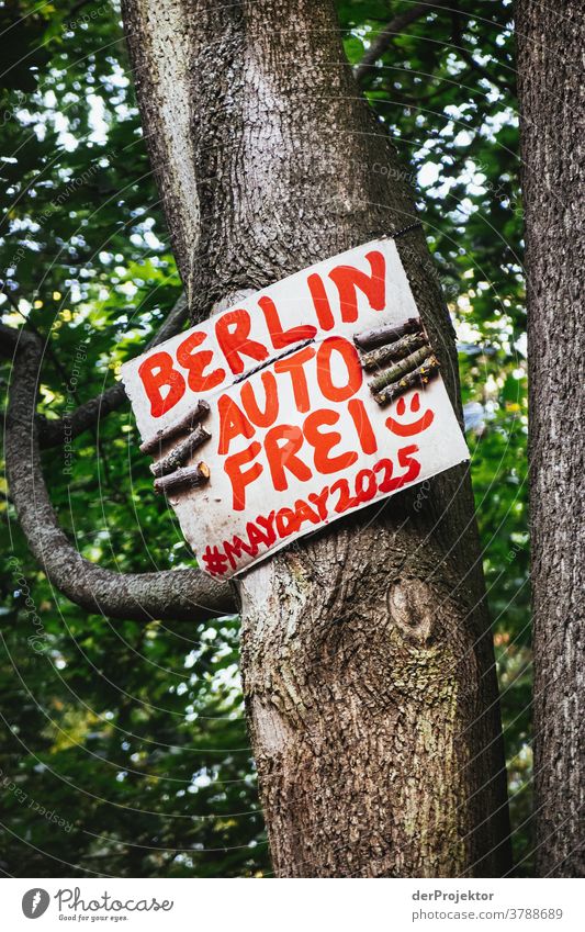 Ein Baum hält ein Schild mit dem Wunsch nach einem autofreien Berlin Starke Tiefenschärfe Schatten Licht Morgen Textfreiraum unten Textfreiraum oben