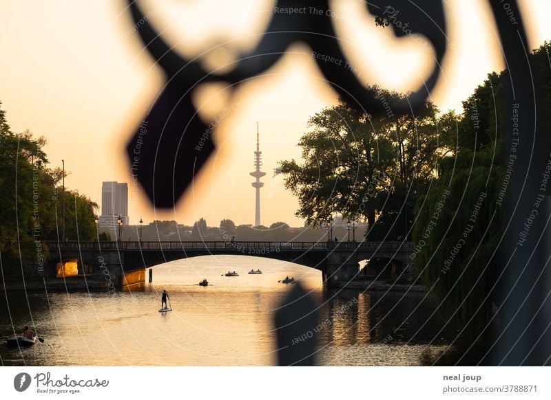 Hamburg, Sonnenuntergang an der Alster Außenaufnahme Wasser Abend Tourismus Städtereise Wahrzeichen Außenalster Vordergrund Romantik Liebe SUP Entspannung Ruhe