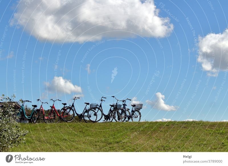 Fahrradparkplatz - viele Fahrräder stehen auf einem Weg vor den Dünen Rad Radfahren Fahrradfahren Außenaufnahme Wiese Wolken Himmel Sträucher Insel Nordseeinsel