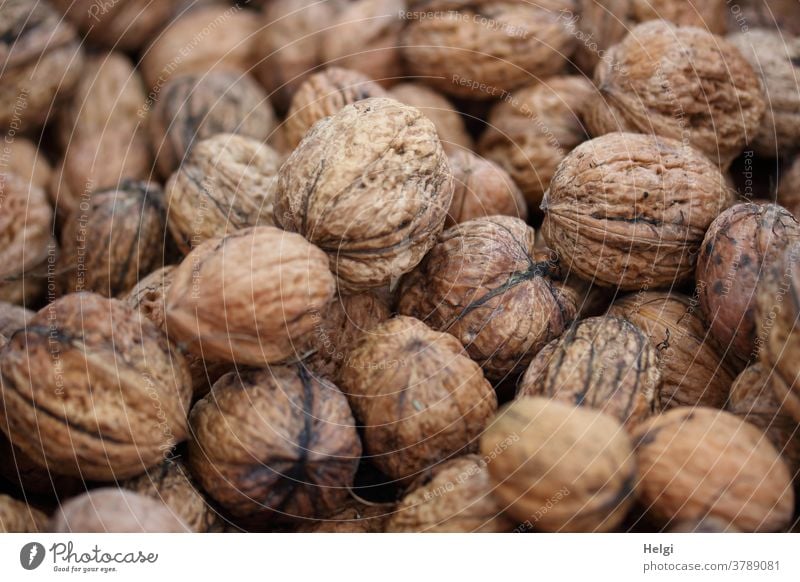 jede Menge frisch geerntete Walnüsse Walnuss Nuss Farbfoto Lebensmittel Ernährung Nahaufnahme lecker Vegetarische Ernährung Gesundheit Bioprodukte Menschenleer