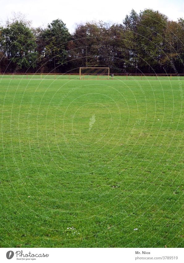 grüne Wiese mit Fußballtor im Hintergrund Sportplatz Fußballplatz Rasen Gras Spielfeld Sportrasen Sportstätten Freizeit & Hobby Wäldchen Ballsport