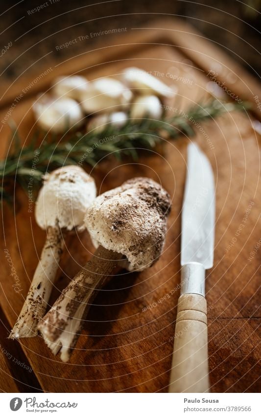 Speisepilz Macrolepiota procera Makrolepiota procera Pilz Umwelt Natur Herbst Nahaufnahme Wald Farbfoto Detailaufnahme Schwache Tiefenschärfe braun grün