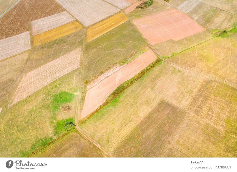 Felder und Wiesen von oben gesehen Bereiche Bauernhof Landwirtschaft Gras Feld von oben orange gelb