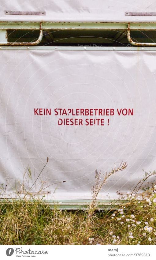 Plane mit der Aufschrift: Kein Staplerbetrieb von dieser Seite Schrift rot Abdeckung Schutz Kunststoff sicherheit begrünt Unkraut Warnhinweis