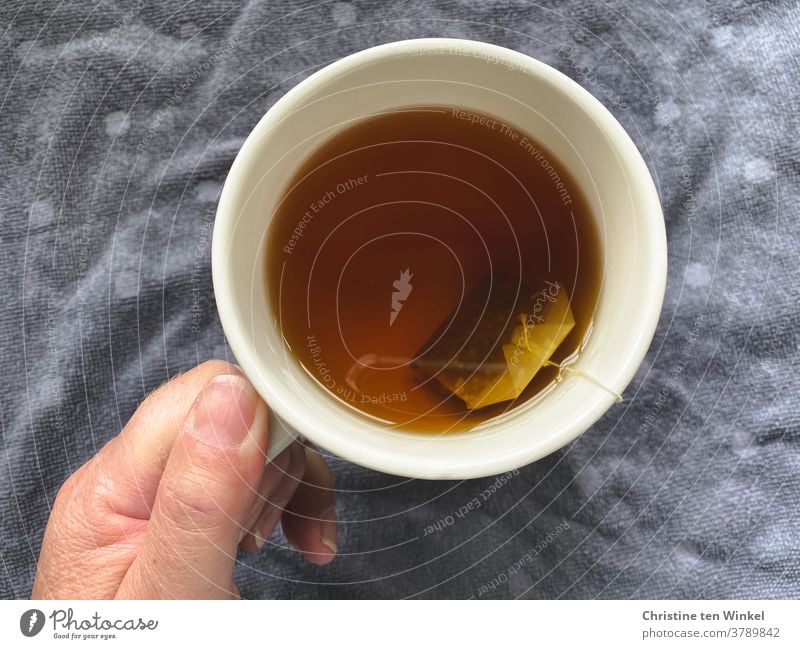 Blick von oben auf einen Becher mit heißem Kräutertee, gehalten von der Hand einer Frau. Grauer Untergrund. Tee Teebeutel Teebecher Heißgetränk festhalten warm