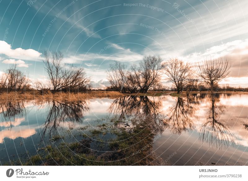 Die Wiesen stehen Kopf in der Spiegelung des Regenwassers Reflexion Reflexion & Spiegelung Himmel Wolken überschwemmt überschwemmtes Feld Baum Wasser Landschaft