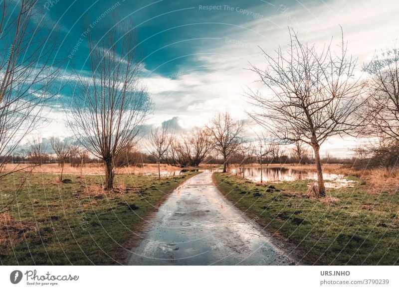 Weg durch die überschwemmte Wiese Spiegelung Reflexion Reflexion & Spiegelung Himmel Wolken überschwemmtes Feld Baum Wasser Landschaft Farbfoto Überschwemmung