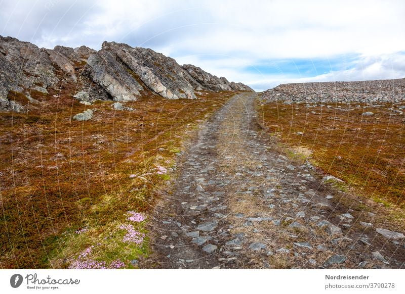 Schotterpiste im Gebirge beschwerlich steinig Stein Melancholie Straße Piste Regen düster Feldweg Weg wandern Unendlichkeit reisen karg mystisch geheimnisvoll