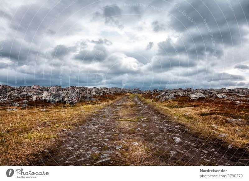 Einsamer Weg im Nirgendwo der Weite Sehnsucht Nordeuropa Sommer Skandinavien Ferne Textfreiraum Menschenleer Einsamkeit Himmel wolken Landschaft Natur