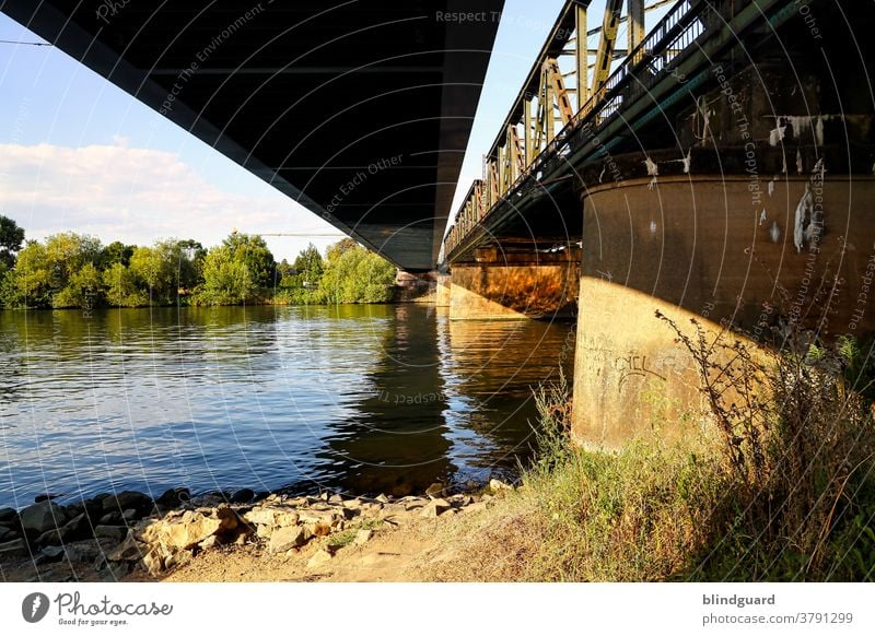 Bridges over calm water. Brücken Farbfoto Außenaufnahme Stadt Fluss Menschenleer Tag Architektur Wasser Bauwerk Steinheimer Brücke Eisenbahnbrücke Bahn