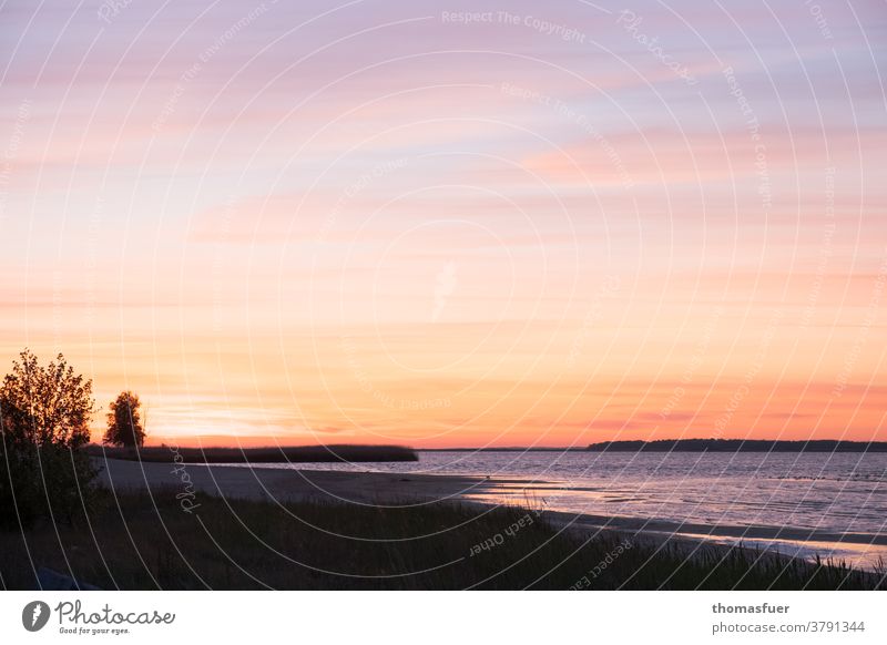 Abend am Meer, Sonnenuntergang, eine schöne Bucht. Sommer Natur Himmel Wolken Wasser Küste Landschaft Strand Menschenleer Stimmung Horizont melancholisch Bäume