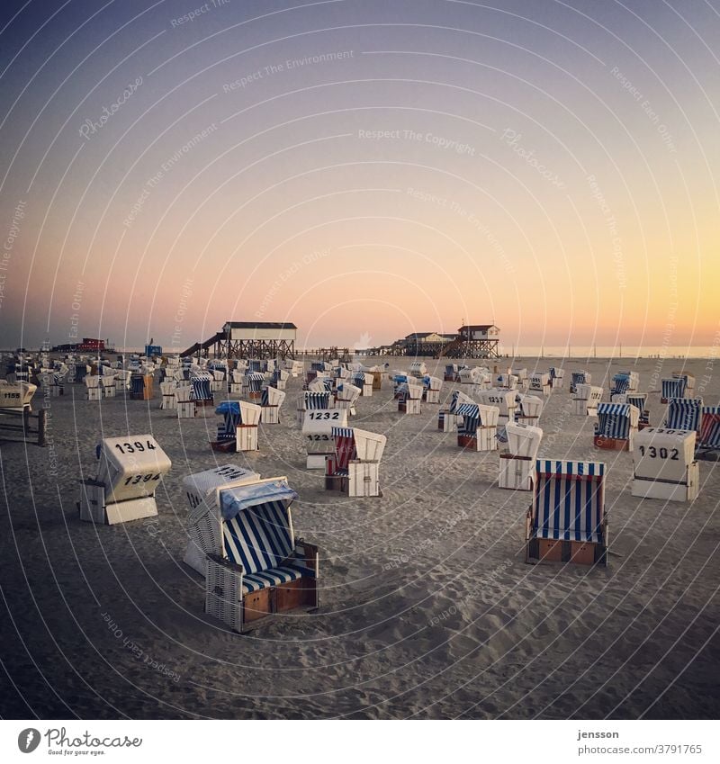 Strandkörbe am Strand von St. Peter-Ording Strandkorb Nordseestrand Nordseeküste Ferien & Urlaub & Reisen Außenaufnahme Meer Küste Himmel Sommer Tourismus