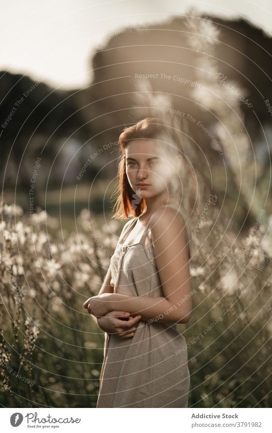 Medium Schuss Porträt der jungen schönen Frau trägt ein beige Kleid, posiert in einem Feld voller Blumen und umgeben von Bäumen. Sie ist hinter hohen Pflanzen und mit Sonnenlicht bei Sonnenuntergang beleuchtet.