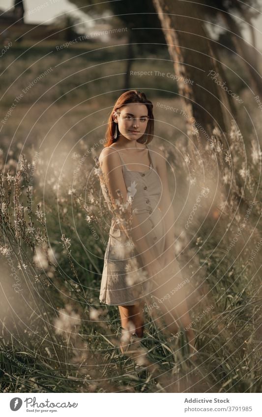 Schlanke Frau stehend im Sommer Park 20s Nachmittag allein Kunstlicht Atmosphäre Hintergrundbeleuchtung Barfuß schön Schönheit Überstrahlung Kaukasier klassisch