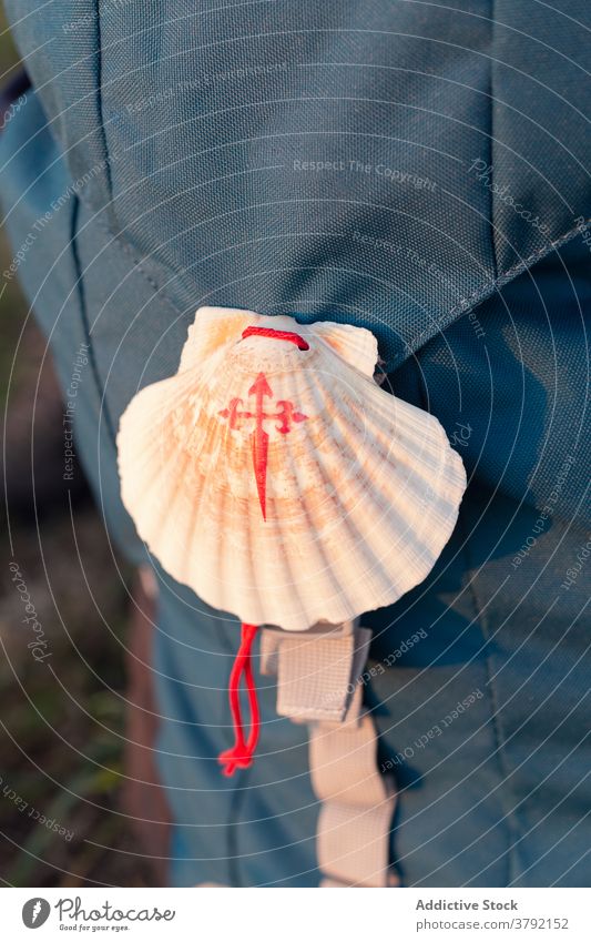 Helle dekorative Muschel mit Kordel am Rucksack santiage de compostela Pilgerfahrt Kompostelastraße Jakobsmuschel kreativ Ornament Design marin reisen gerippt