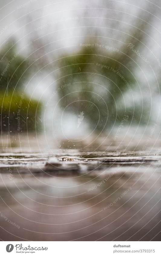 Makroaufnahme von Regentropfen die auf den Boden prasseln nass Tropfen Wasser Natur Wassertropfen Nahaufnahme Detailaufnahme Außenaufnahme Wetter Menschenleer