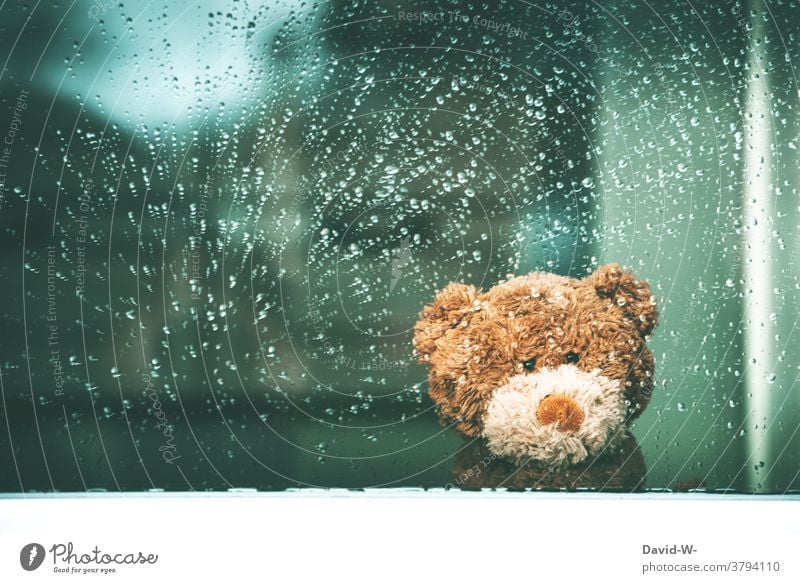 Regenwetter - Teddybär sitzt am Fenster und wartet auf besseres Wetter Kuscheltier warten Fensterscheibe drinnen Traurigkeit Herbst nass Regentropfen