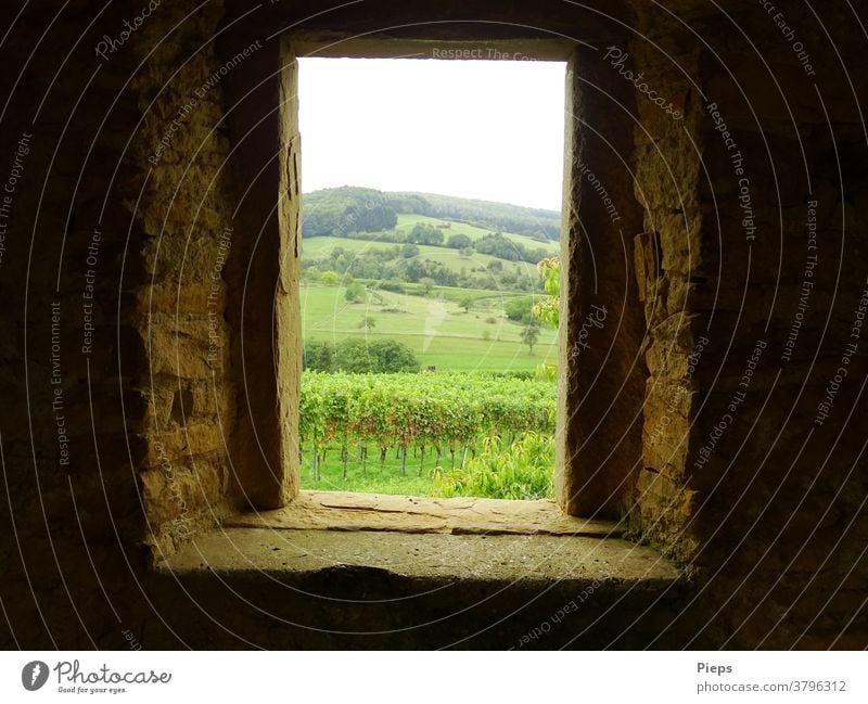 Fenster zum Wein Aussichtspunkt Weintrauben Weinstöcke markgräflerland wandern Ausflugsziel Reise Höhe Berge u. Gebirge breisgau Fensterblick Öffnung Mauer