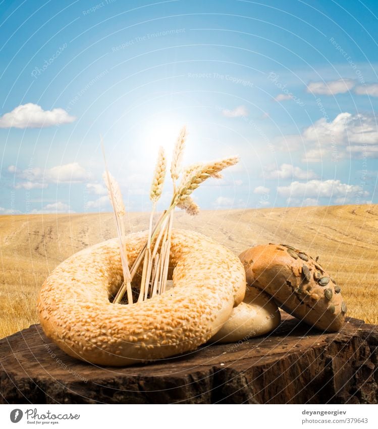 Brot- und Weizengetreideanbau Brötchen schön Leben Kunst Natur Landschaft Pflanze Himmel braun gelb gold schwarz Tradition Blauer Himmel Müsli Bäckerei ländlich