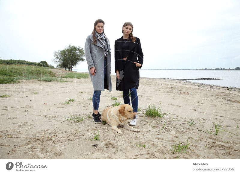 Portrait zwei jungen Frauen -  Freundinnen - am Elbstrand mit blondem Labrador junge Frau 18-25 Jahre warmherzig schön charmant schlank brünett lange Haare