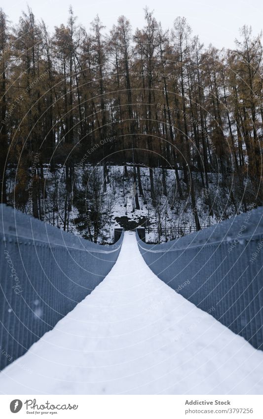 Hängebrücke im Winterwald Brücke Suspension Wald Schnee Hügel Weg leer Steg Natur reisen Saison Ausflugsziel Tourismus Berge u. Gebirge Landschaft Umwelt