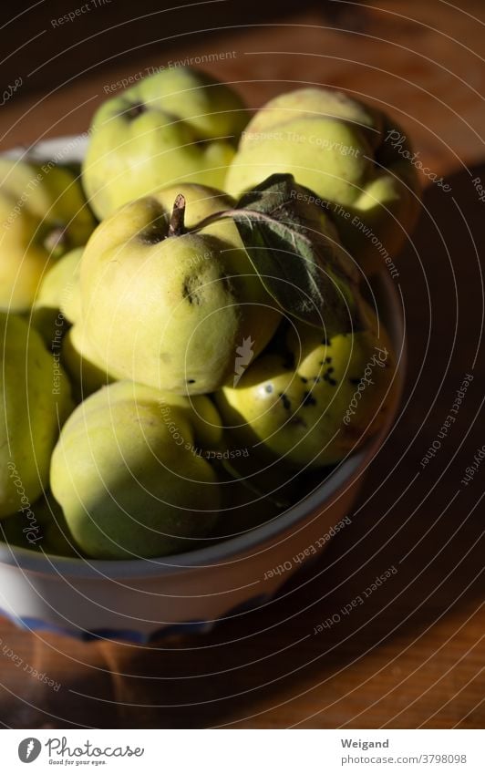 Quitten in einer Schale Quittenfrucht Obst Herbst Duft Ruhe Ernte Erntedank Frucht frisch Gesunde Ernährung Bioprodukte Farbfoto reif lecker Lebensmittel