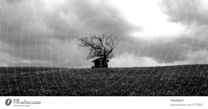 Einsame Hütte Scheune Allgäu Regenwolken cabin clouds rain landscape tree