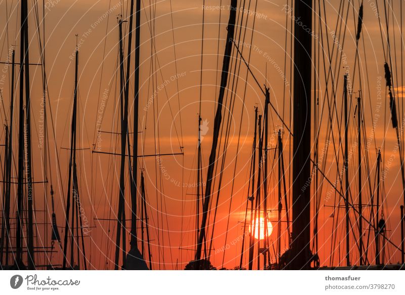 Sonnenuntergang im Hafen mit Segelbooten, Masten Marina Himmel Takelage Wasserfahrzeug Schifffahrt Segeln Meer Wolken Ruhe farbig Stimmung gedrängt