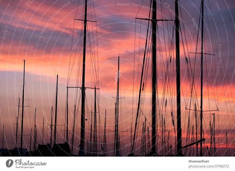 Segelboote, Masten, vor rotem Wolkenhimmel im Hafen Marina Wasserfahrzeug Takelage Himmel Schifffahrt Segeln Ferien & Urlaub & Reisen Meer Sonnenuntergang