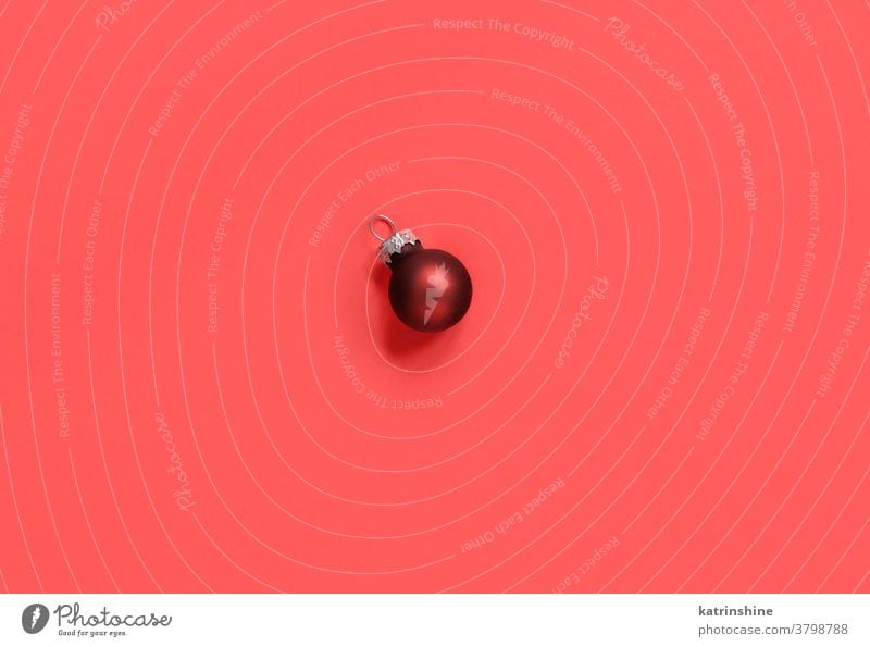 Dunkelrote Weihnachtskugel auf rotem Hintergrund Bälle Kugel Weihnachten dunkelrot Korallen Draufsicht hell feiern Dekoration & Verzierung festlich Feiertage