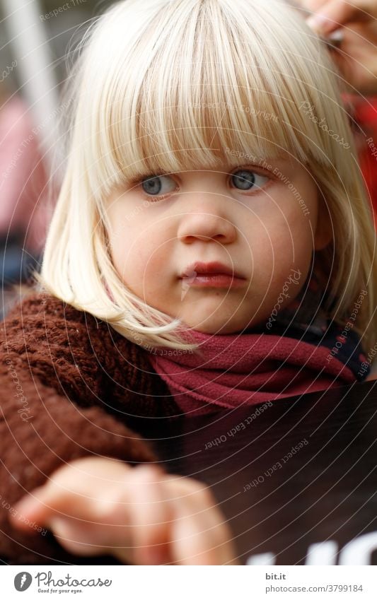 Wenn ich groß bin, bestell ich auch Sahnetorte... Mädchen mädchenhaft Mädchenportrait Gesicht Warme Farbe warme kleidung Strickjacke nehmen Neugier neugierig