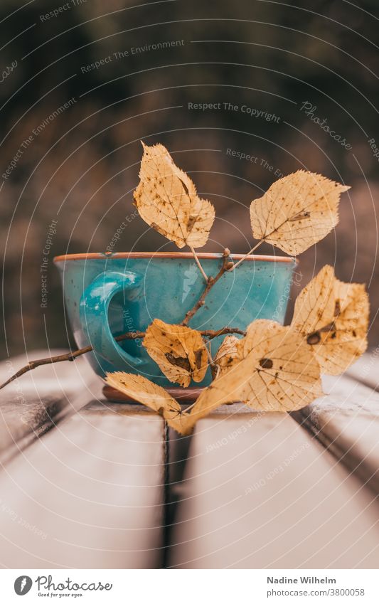 Blaugrüne Tasse mit gelben Blättern auf einer Bank Herbst Blatt herbstlich Herbstlaub Laubwerk Natur trinken Saison Oktober November natürlich im Freien