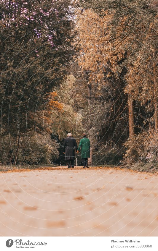 Ein altes Ehepaar geht in einem herbstlichen Park spazieren Paar Händchenhalten gehen Spaziergang Spaziergang in der Natur Zusammensein paarweise Mann Frau